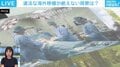 臓器移植のあっせんで1236万円受領か…なぜカンボジア? ドナーは20代の女性? 国内の腎臓移植は15年待ち? 背景を解説