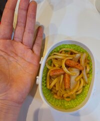 尾形あい『少食ちゃん弁当報告』