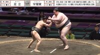 【映像】実際の取組の様子