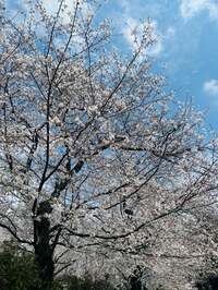 ココリコ遠藤嫁『病院で』