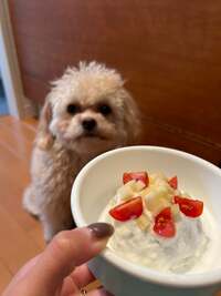 ノンスタイル井上嫁『誕生日ケーキ』