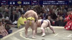 若さをかわす遠藤の相撲センス　22歳阿武咲を抜群のタイミングではたき込み