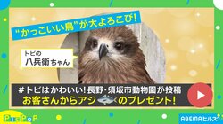 「え？くれるの!?」アジをプレゼントされたトビの反応に「やったー!!って感じがかわいい」「甘え鳴き！」と悶絶の声