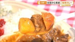 カレーの街・横須賀に“約70種類”集結　海軍カレーから全国ご当地カレーまで魅力を調査