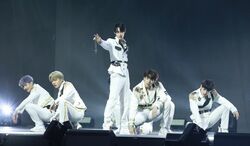 「生放送でこれはヤバイ！」「あまりに完璧」デビューが決定したK-POPの新星『N.ssign』、最高レベルの初パフォーマンスに会場熱狂『青春スター』