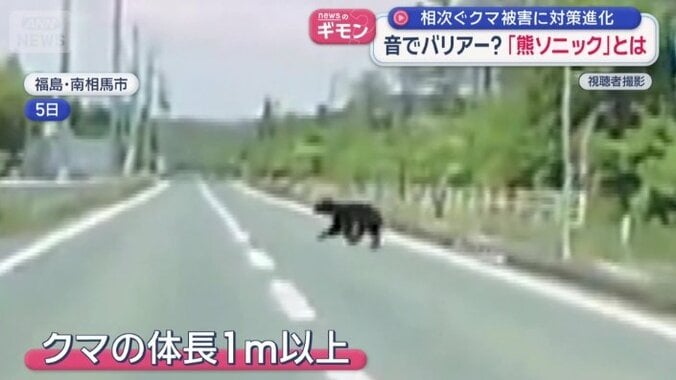 車のドライブレコーダー映像にクマ