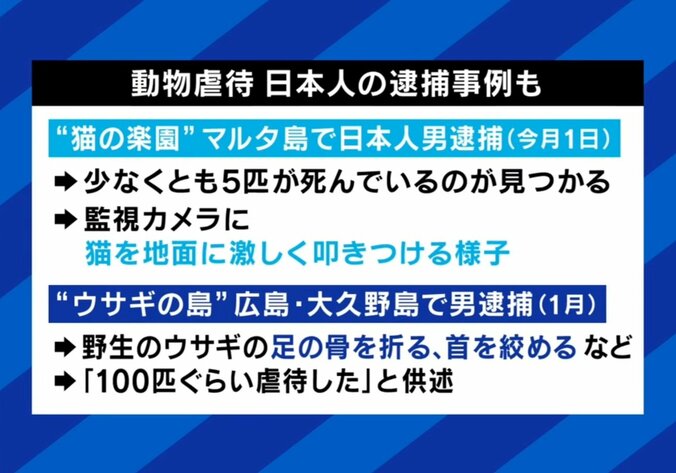 動物虐待、日本人の逮捕事例も