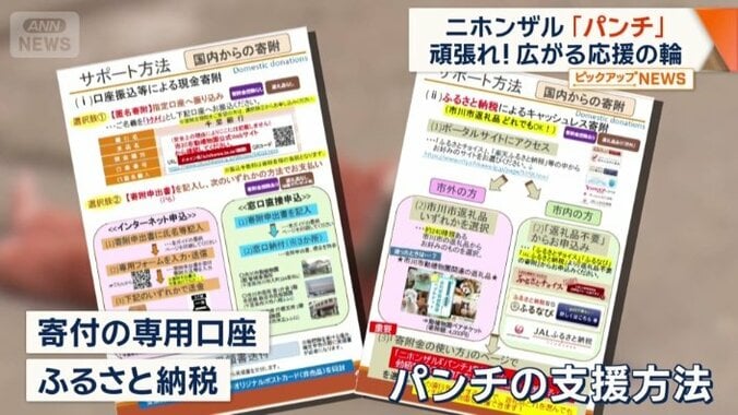 パンチの支援方法がまとめられている