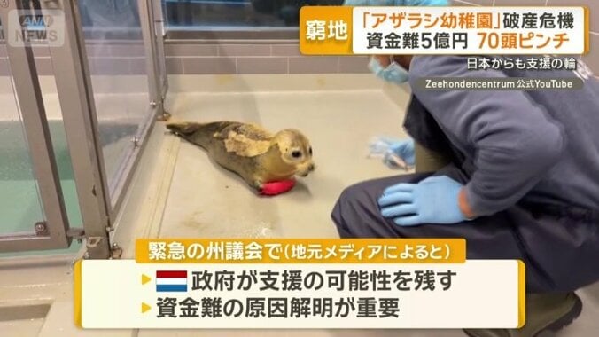 資金難の原因解明が重要