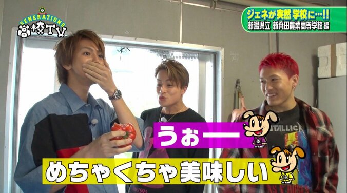 白濱亜嵐の可愛らしさ爆発！ AbemaTV視聴者が萌えた名シーン３選 3枚目