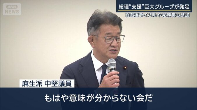 麻生派中堅議員
