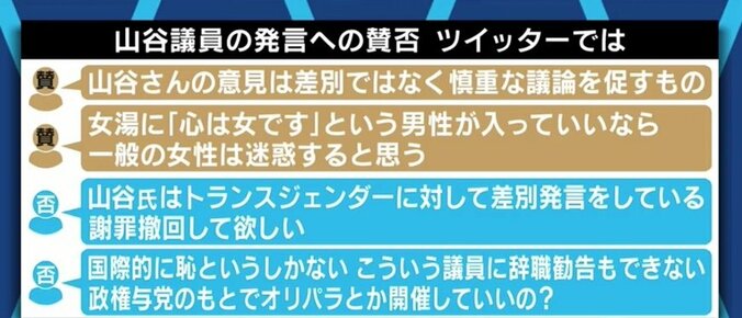 LGBT法案 自民党が条件つきで了承も議員たちの問題発言で浮き彫りになった“社会の理解不足” 8枚目