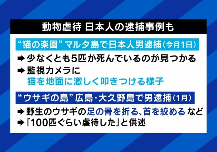 動物虐待、日本人の逮捕事例も