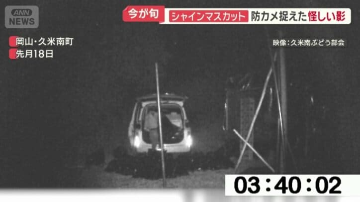 袋を車へ積み込む
