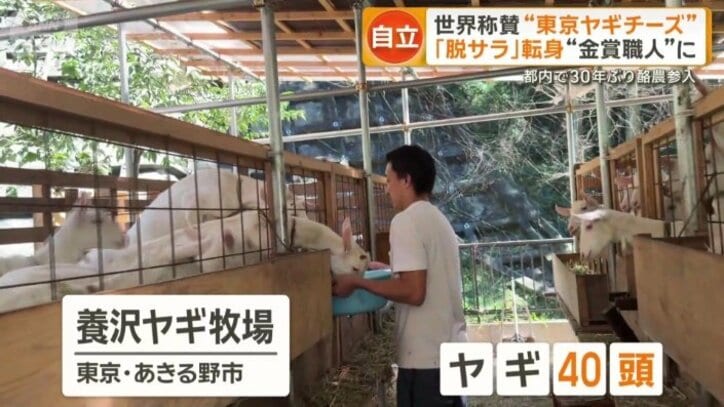 あきる野市の養沢ヤギ牧場