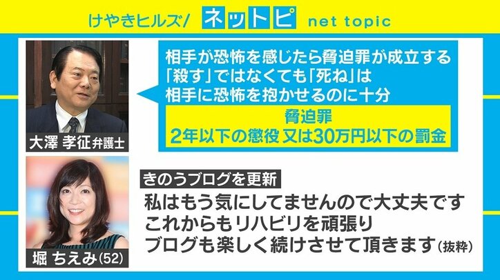 堀ちえみへの脅迫容疑で書類送検主婦「『死ね』でも脅迫になるんですか」 法的には？
