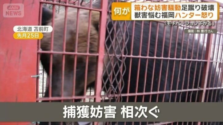 相次ぐ捕獲妨害