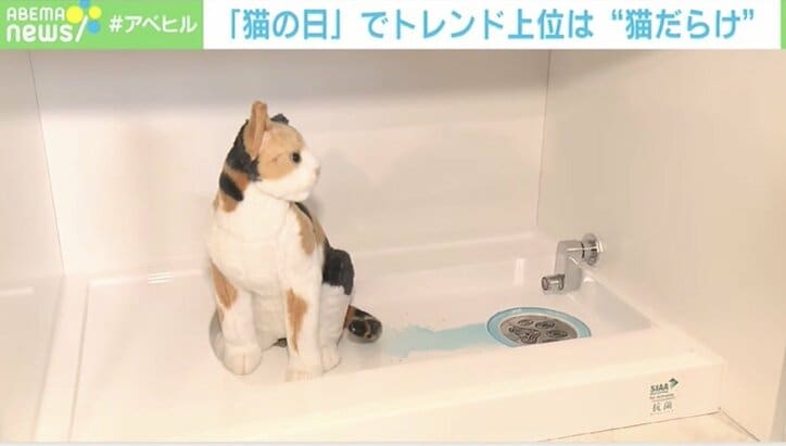 ドリカム中村正人「“猫大好き”って軽々しく言えない」家族の一員のために叶えた夢