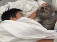 川崎希『救急外来』