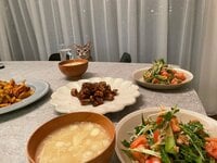 桃『猫の手も借りたい、とはこのこと。』