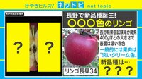 【動画】苦節20年！ 新品種ピンクのリンゴ