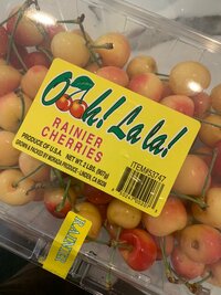 岩隈まどか『コストコの戦利品』