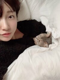 桃『HOME SWEET HOME』