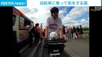 【映像】前カゴに乗ってサイクリング楽しむ猫