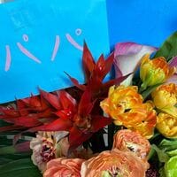 矢沢心『3月10日 まさとさんの誕生日』