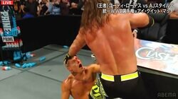 「ああ！額が…」壮絶死闘でレスラー流血　リングサイドの“母親”まさかのブチギレ！元新日戦士にビンタ3連発の衝撃シーン