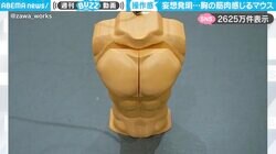 「最高にバカw」胸の筋肉を感じる自作の“ムキムキマウス"が、SNSで2600万件表示！「手にフィットしそう」「アンタ最高だよ」
