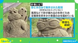 奇跡のコラボレーション？可愛らしい“サンドアート”に絶賛の声「仲良さそうでほっこり」