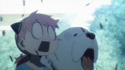 Yor’s Serve Is Like a Weapon... Fiona Faces Death from Yor’s Terrifying Tennis Serve in “SPY×FAMILY”