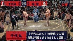 寝顔画像でブレイクの“千代丸たん”若者ファンに「ちゃんと相撲も取っています」