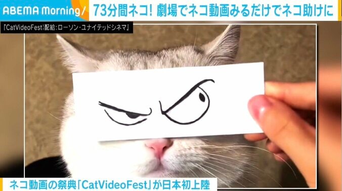 『CatVideoFest』