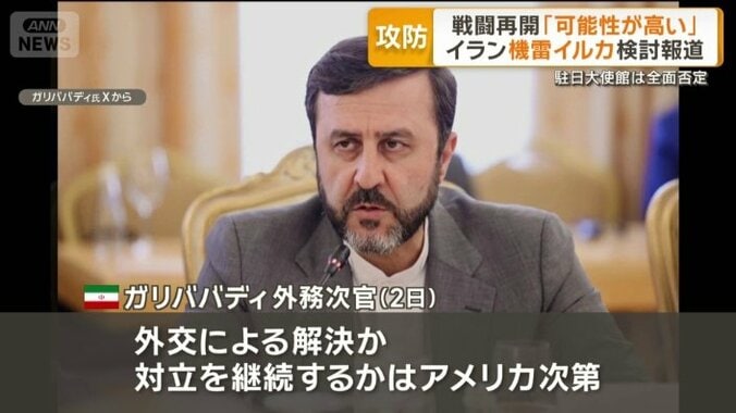 イラン　ガリババディ外務次官