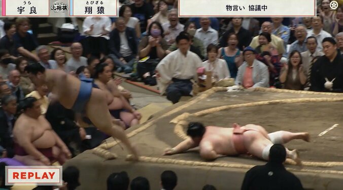 「どこまで飛ぶんだ」宇良も二度見して驚いた！翔猿が客席深くへ“超ダイブ” 「お客様もビックリしますよね」元若乃花も驚き 2枚目