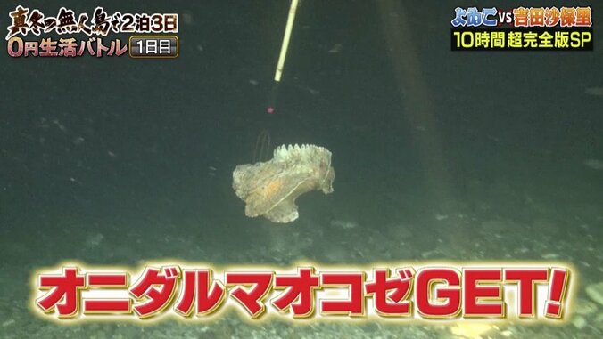 ダレノガレ明美、スクール水着で挑んだ『無人島0円生活』　「次はビキニ」で再チャレンジ？ 25枚目