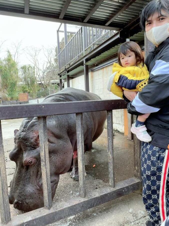  川崎希、家族で動物園を訪れ驚いたこと「見れることないから迫力がありすぎて」  1枚目