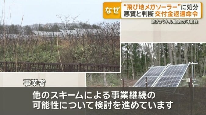 7万5000枚の撤去について