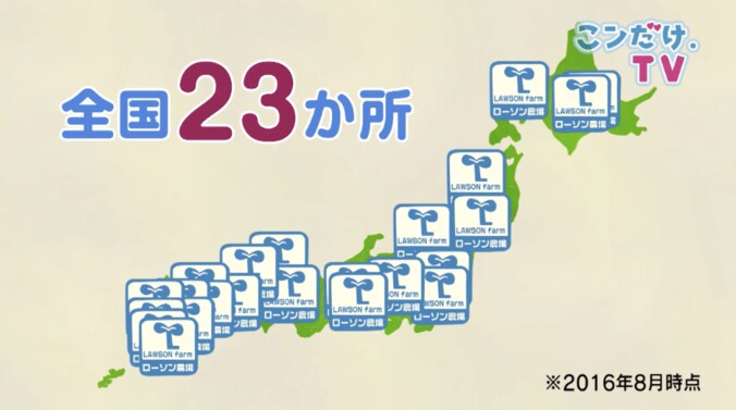カット野菜は洗わずに食べて大丈夫？　ローソン野菜の秘密 4枚目