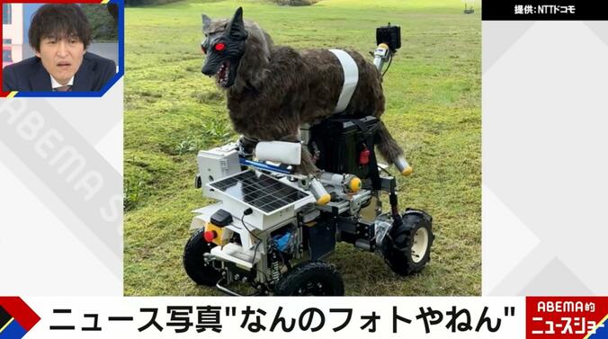 モンスターウルフの新作