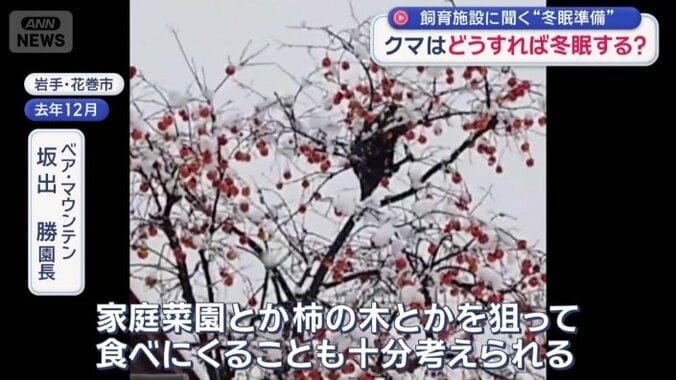 「なんとか食べて生きようとする」