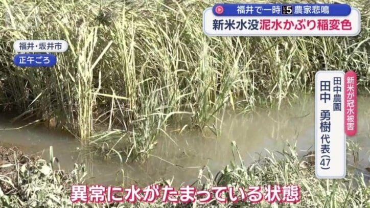 「異常に水がたまっている状態」