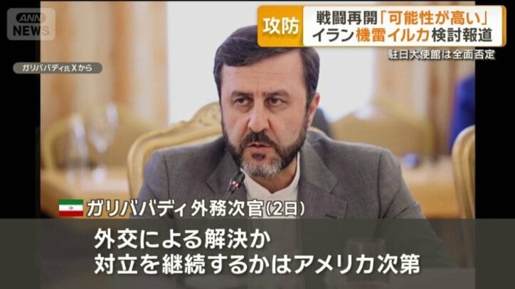 イラン　ガリババディ外務次官