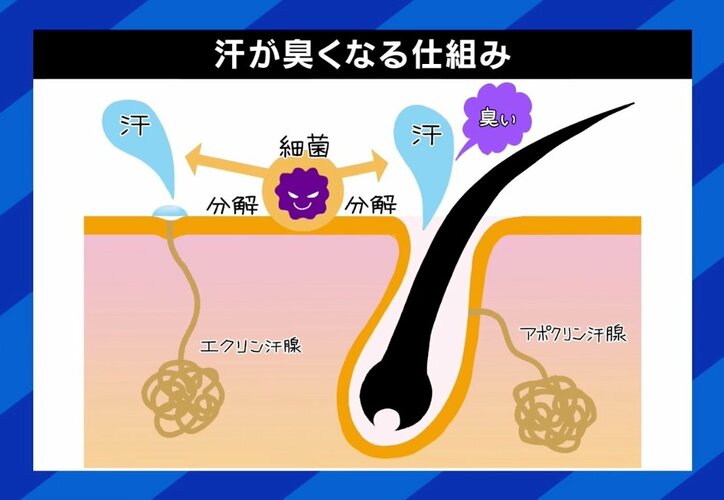 汗は汚いのか？「かかずに働け」たこ焼き店に苦情…ひろゆき氏「コンビニで買って電子レンジで温めれば」