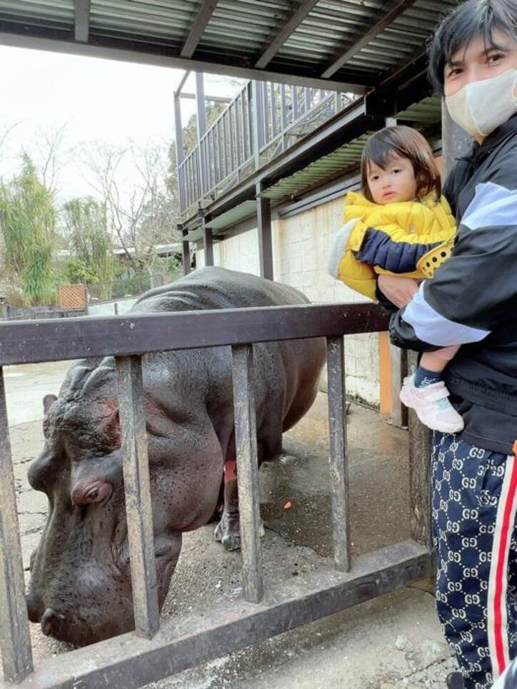  川崎希、家族で動物園を訪れ驚いたこと「見れることないから迫力がありすぎて」 