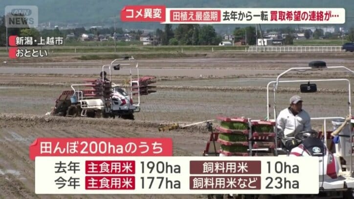 コメ余りが続いている状況