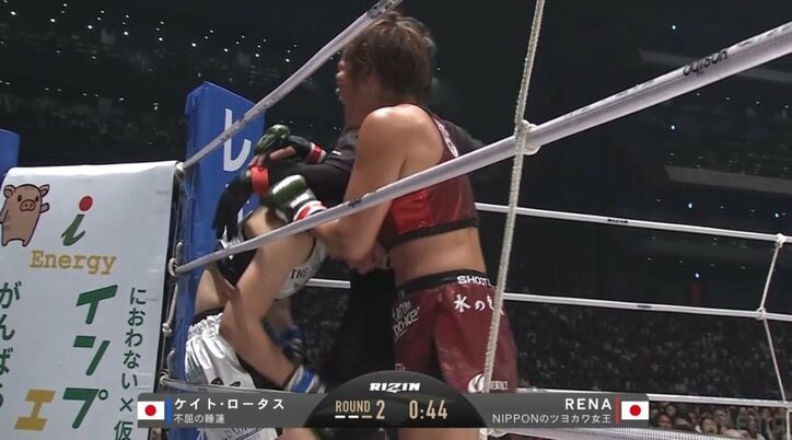 【写真・画像】　2枚目