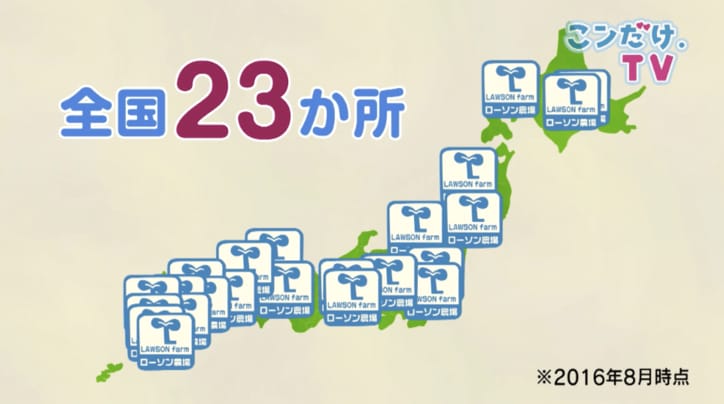 カット野菜は洗わずに食べて大丈夫? ローソン野菜の秘密